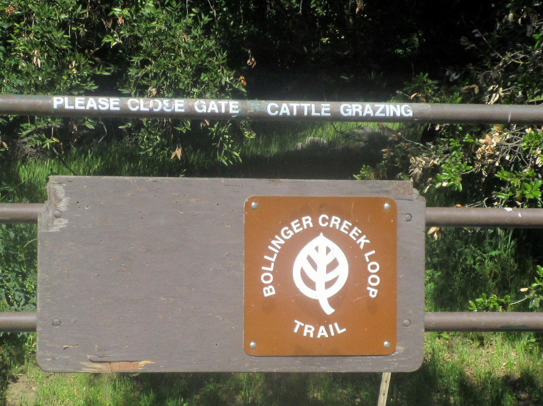 Las Trampas Regional Wilderness-圣拉蒙必去景点