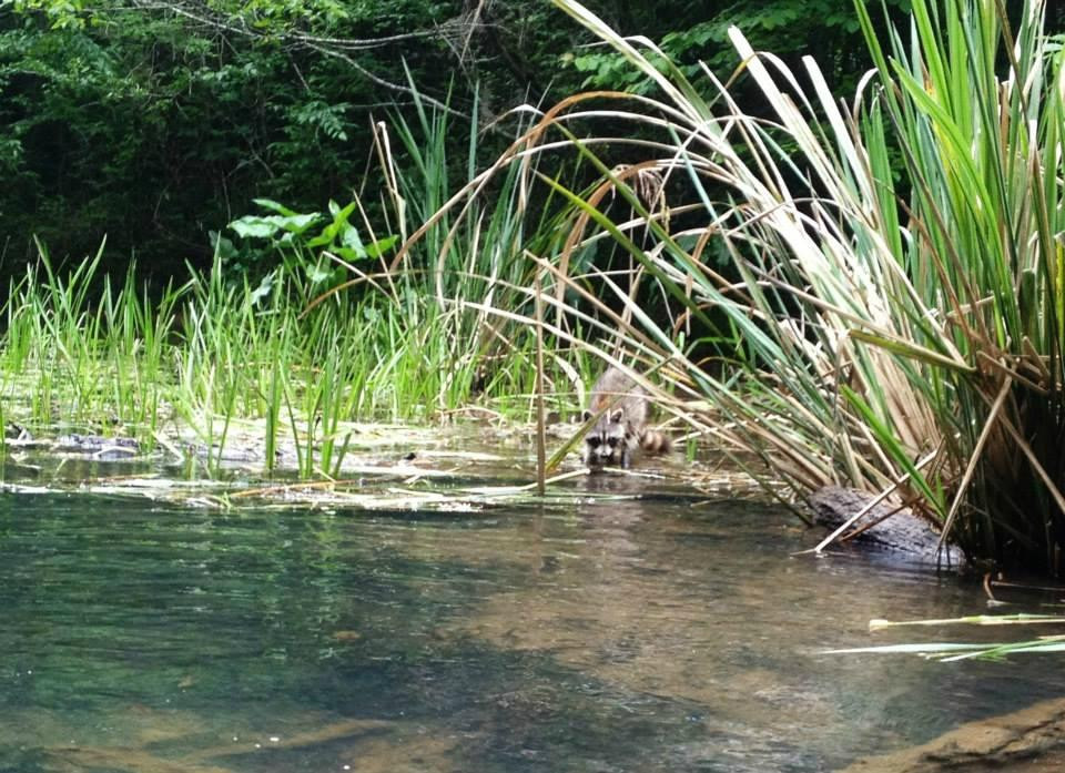 Cole Watkins Tours-Evans必去景点