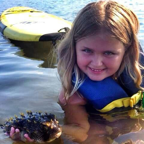 Kostal Paddle-Port Washington必去景点