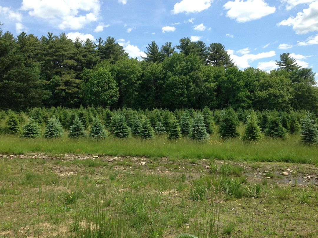 Petersen Farm-Chepachet必去景点