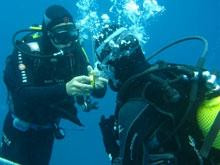 DIVE-MAN Tenerife-拉斯加勒塔斯必去景点