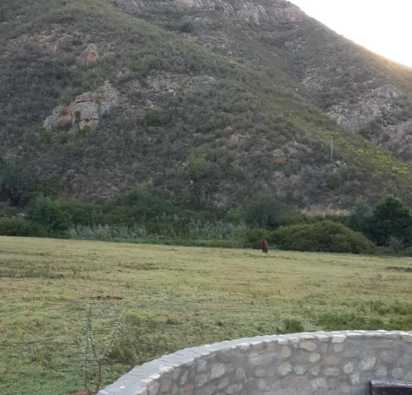 Ragels Rivier Guest Farm主图