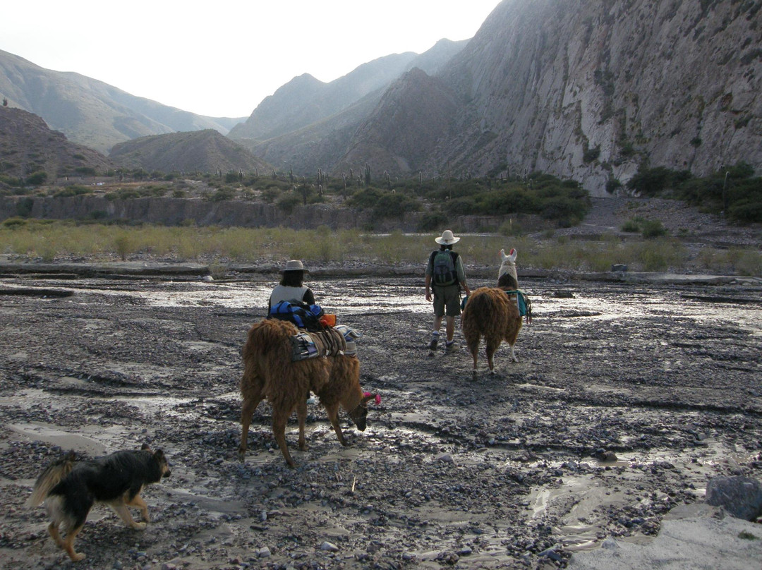 Pucara de Juella-蒂尔卡拉必去景点