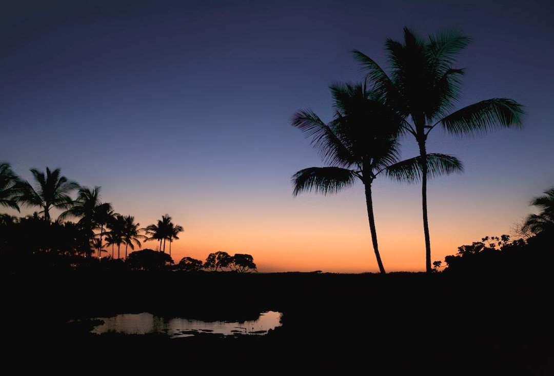 7 Artists Gallery-哈纳雷伊必去景点