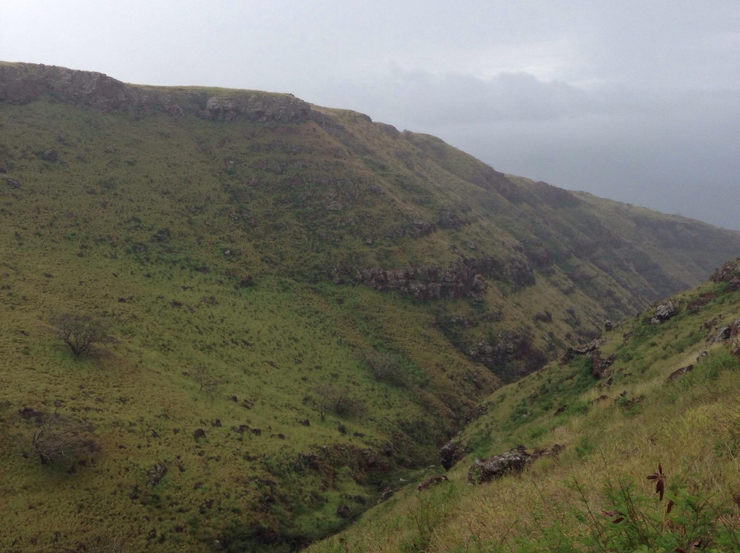 Lāhainā Pali Trail-拉海纳必去景点