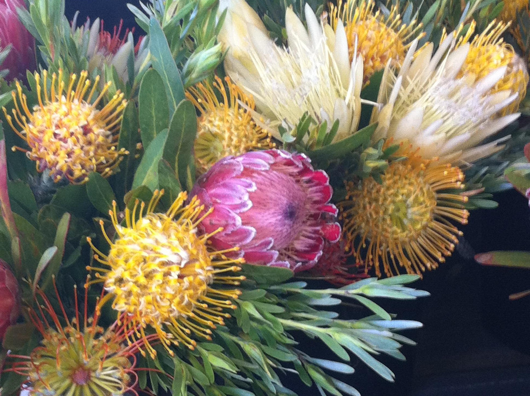 Waimea Homestead Farmers Market-卡慕也拉必去景点