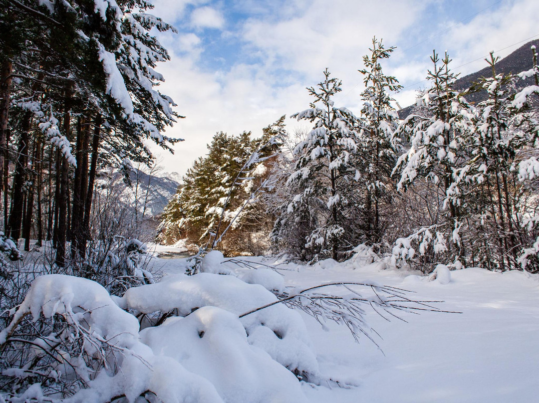 Trilly Bed & Breakfast主图