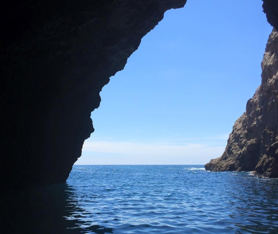 Ocean Leopard - Cathedral Cove Boat Tours-菲蒂昂格必去景点