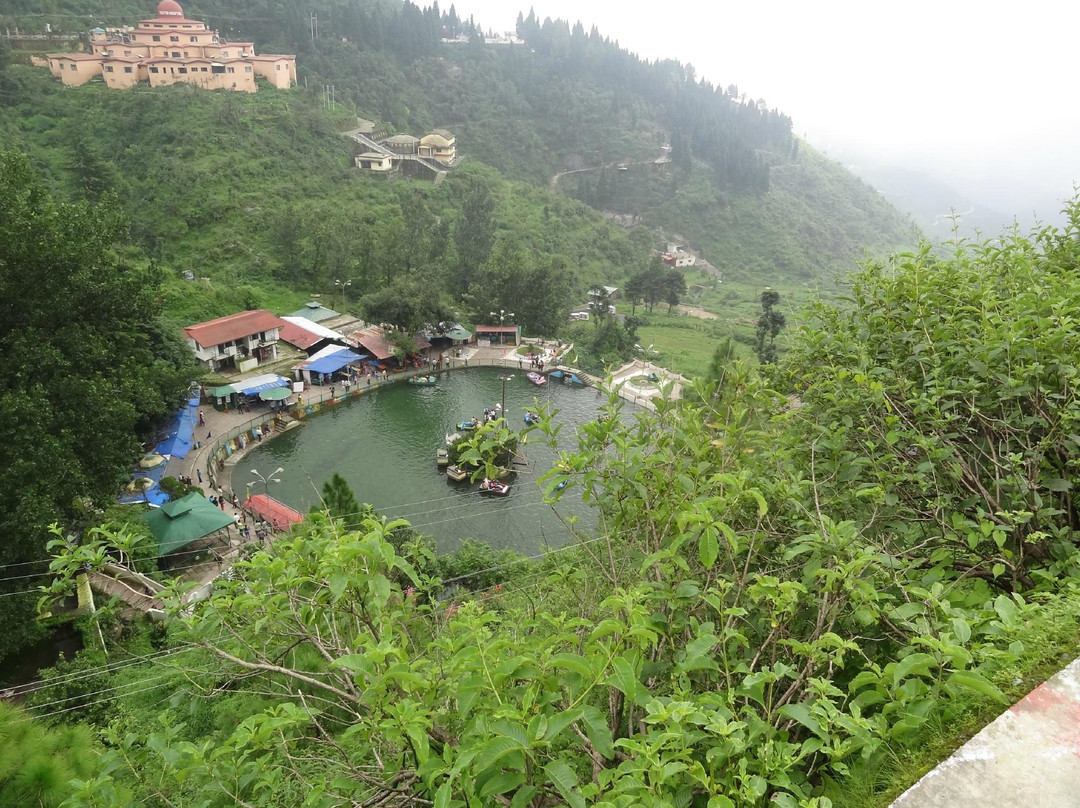 Lake Mist景点图片