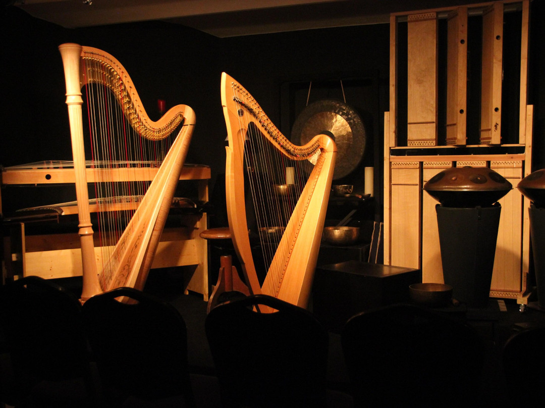 Luc Vanlaere Harpist - Harp Museum-布鲁日必去景点