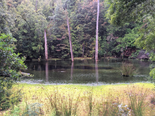 Tall Timbers Adventure Tours-Smithton必去景点