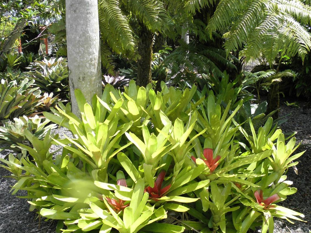 那尼马乌花园-希洛必去景点