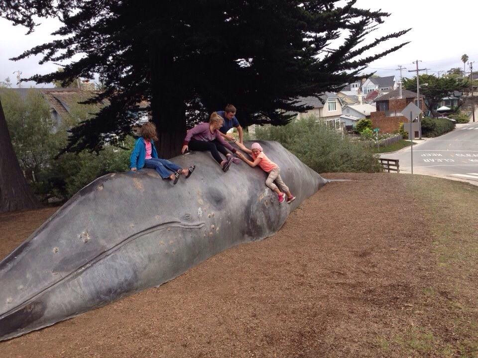 Santa Cruz Museum of Natural History-圣克鲁斯必去景点