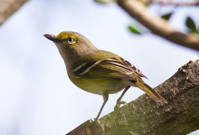 McAllen Nature Center-麦卡伦必去景点