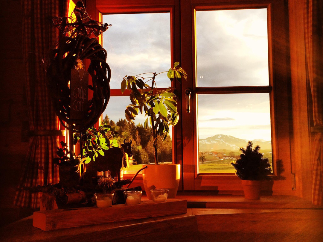 Unterthingau餐馆和美食-Walder Käskuche