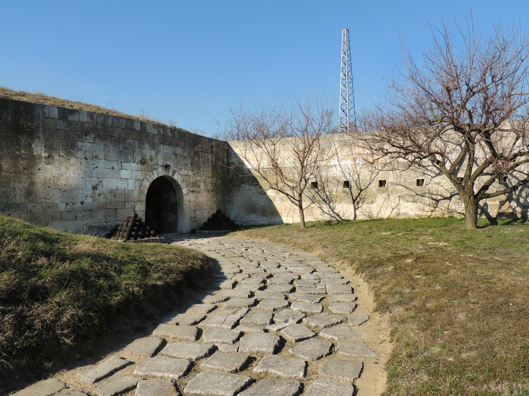 Medzhit Tabiya Fort景点图片