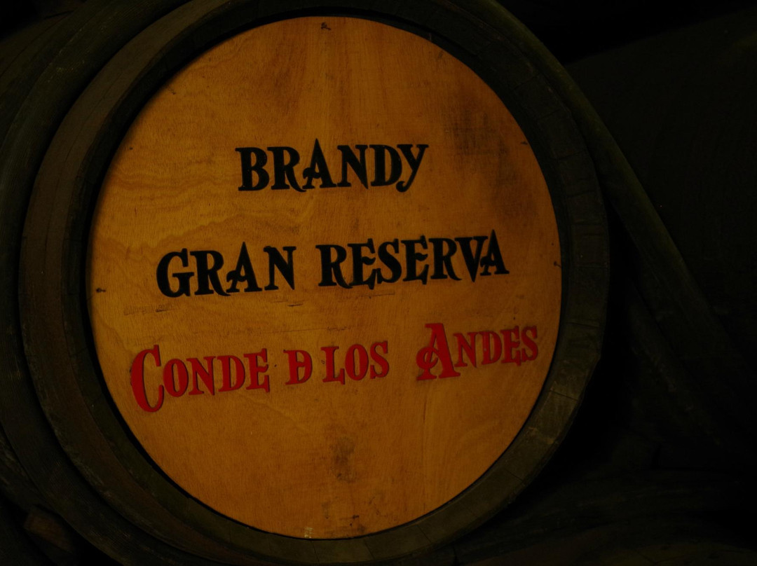 Bodegas y viñedos Díez Mérito景点图片