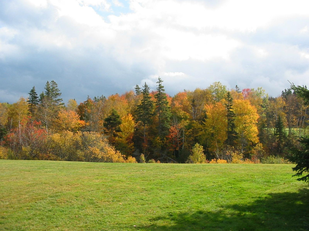 George Larter PEI-夏洛特镇必去景点
