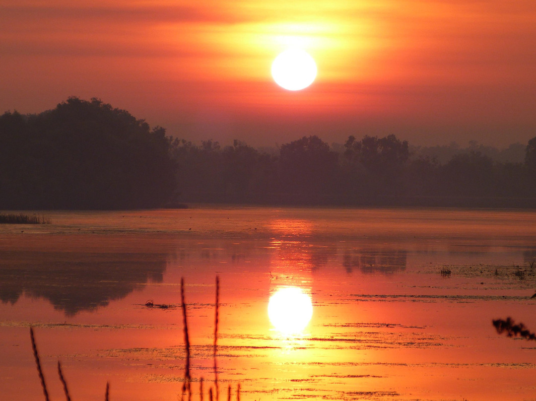 Lake Jabiru-Jabiru必去景点