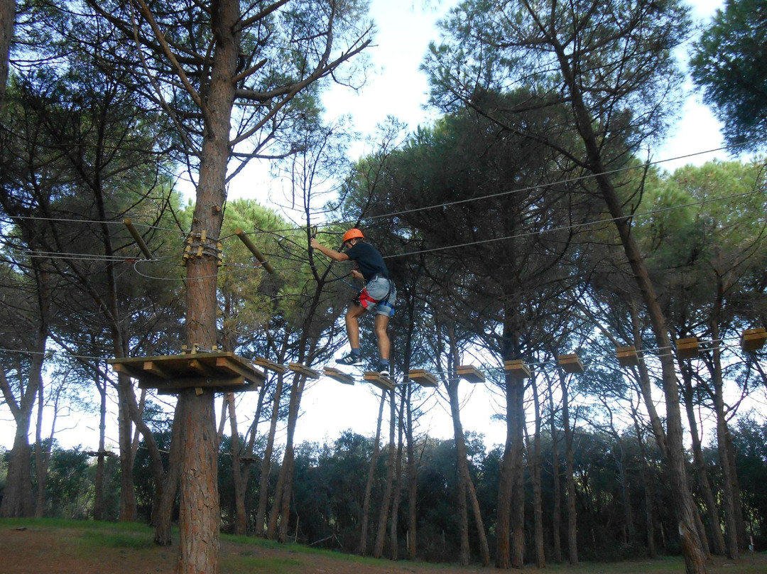 Park Adventure Bosco Isola景点图片