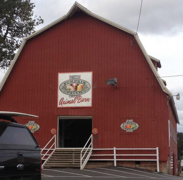 The Maize at The Pumpkin Patch-波特兰必去景点