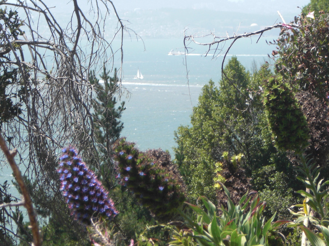 Angel Island Company-旧金山必去景点