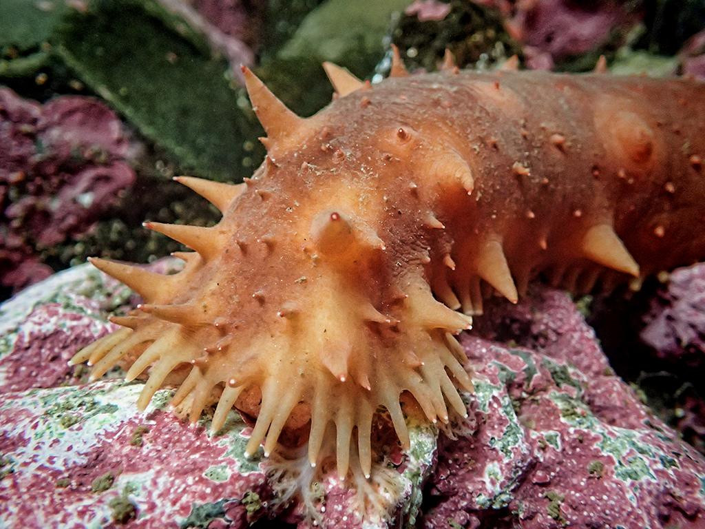 Hatfield Marine Science Center-纽波特必去景点