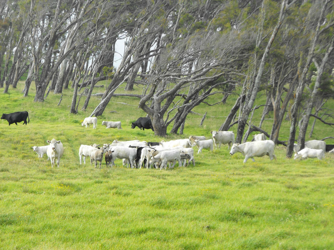 派克牧场-卡慕也拉必去景点