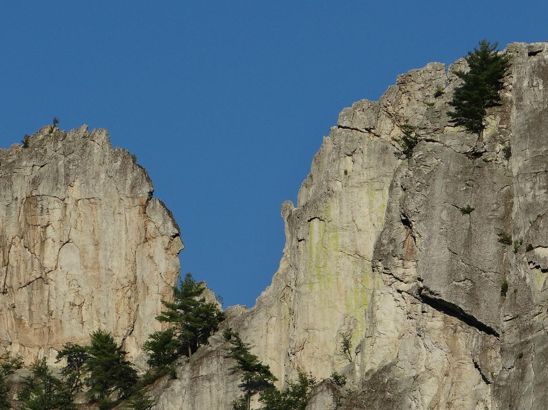 Seneca Rocks Discovery Center-Seneca Rocks必去景点