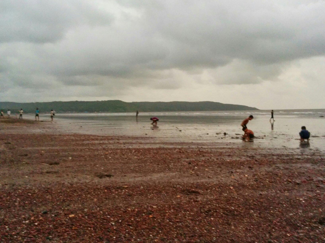 Ladghar Beach景点图片