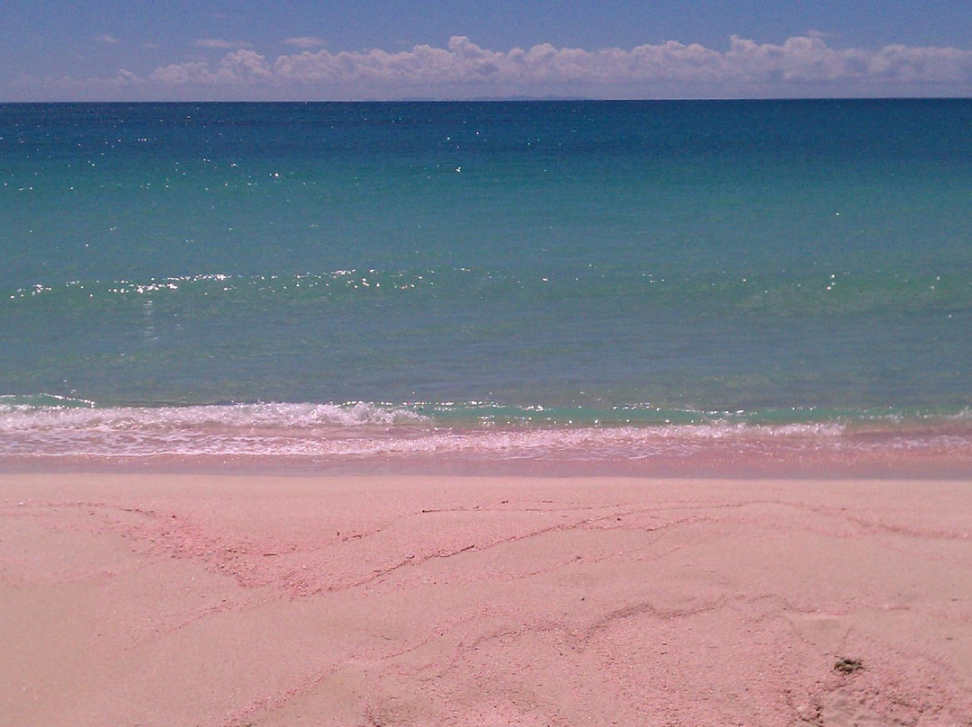 Coco Point-巴布达必去景点