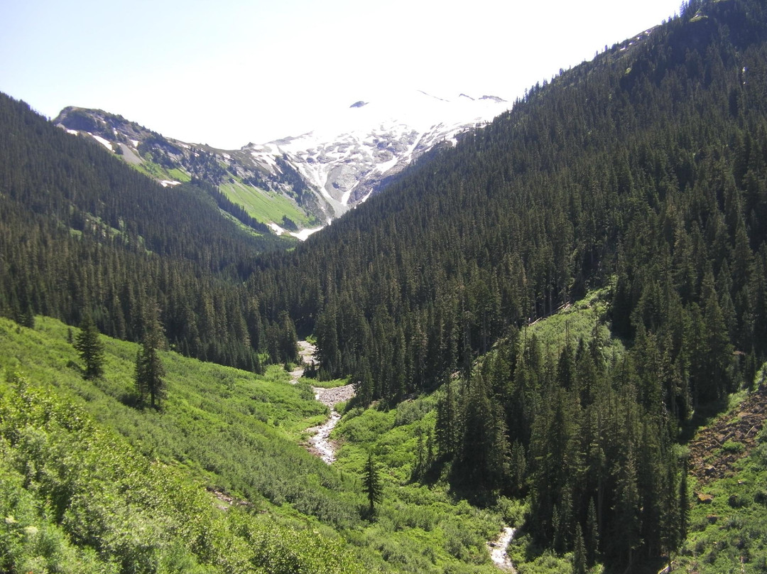 Hannegan Pass-Ross Lake景点图片