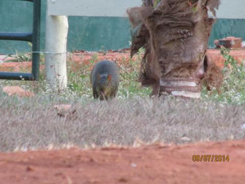 Hotel Recreio São Jorge-客卧