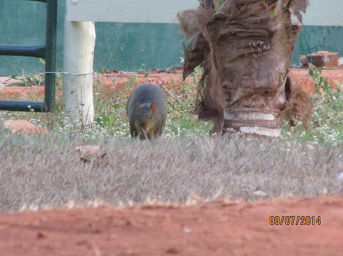 Hotel Recreio São Jorge主图