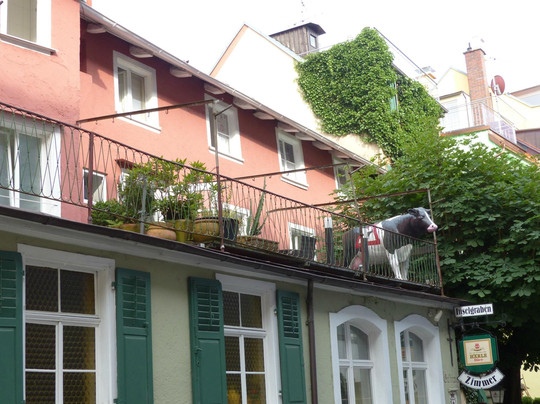 Gasthof Inselgraben主图