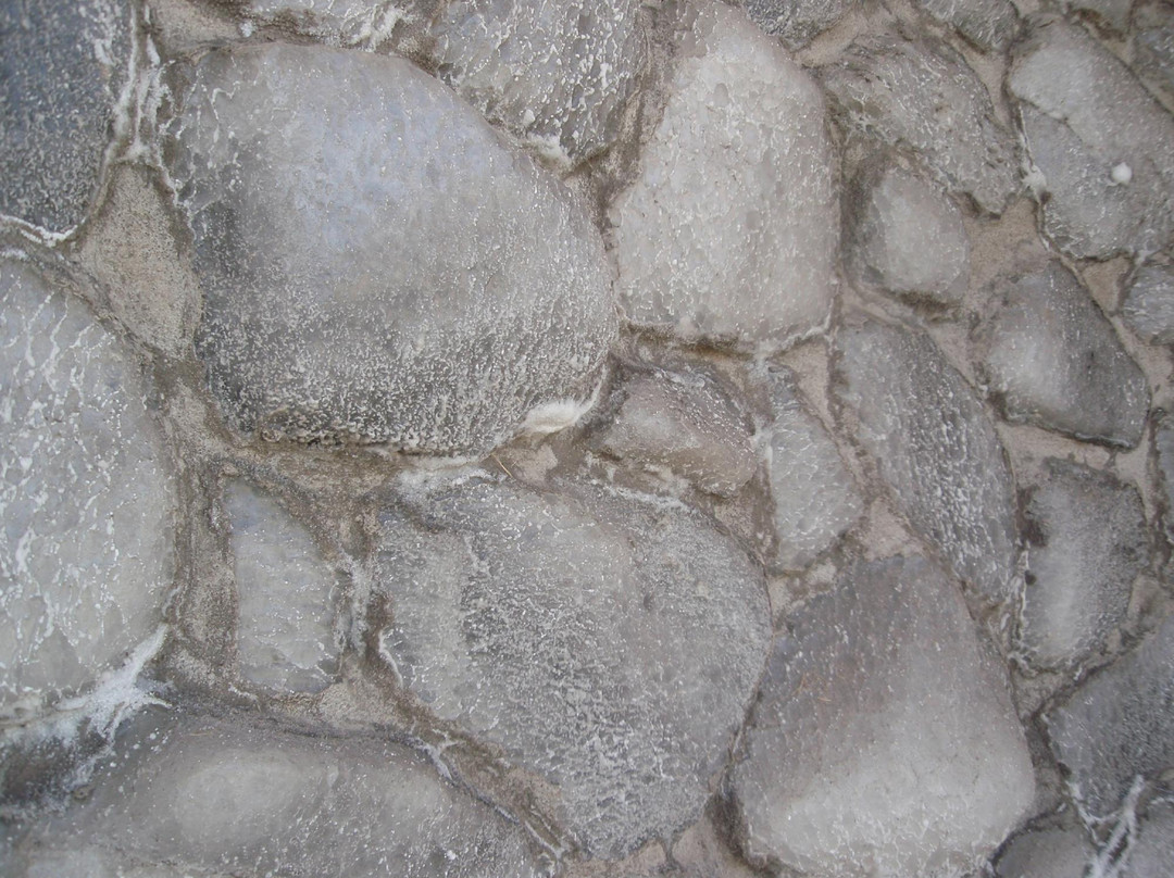 Salt Palace Museum-Grand Saline必去景点