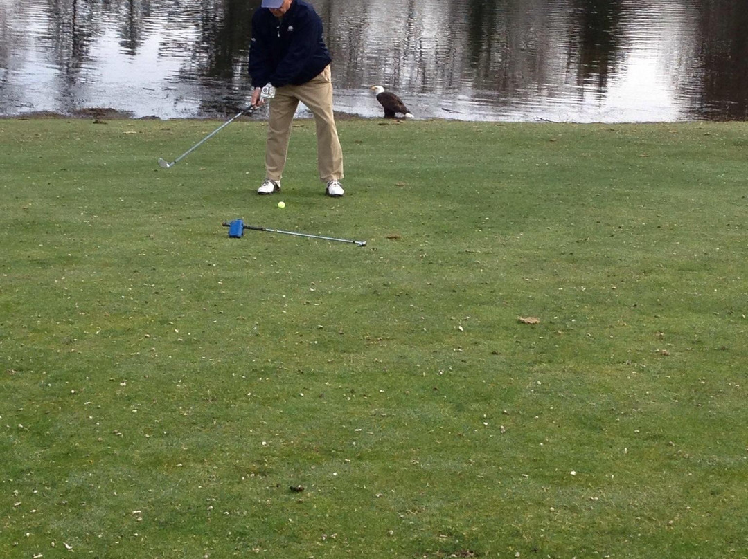 Port Ludlow Golf Course景点图片