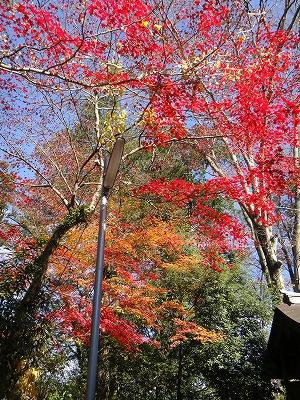 Kiryu Tenmangu Shrine景点图片