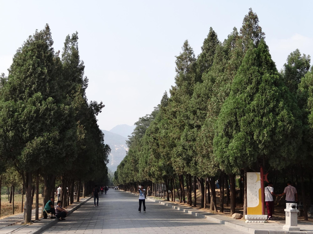 少林寺景点图片