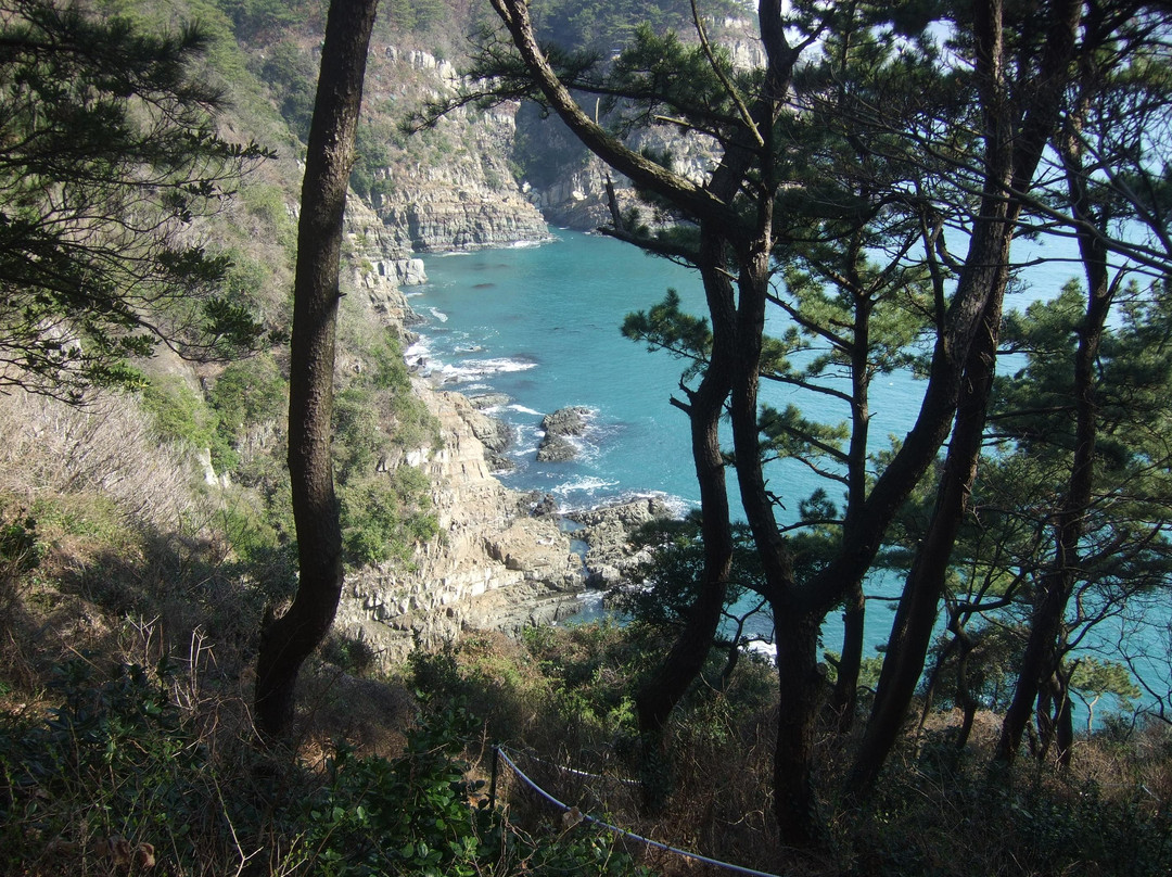 岩南公园-釜山必去景点