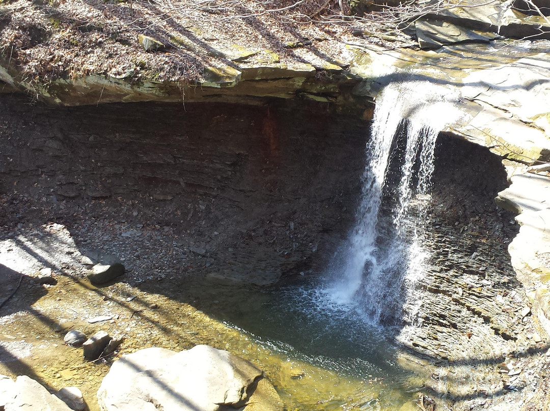 Blue Hen Falls-Brecksville必去景点
