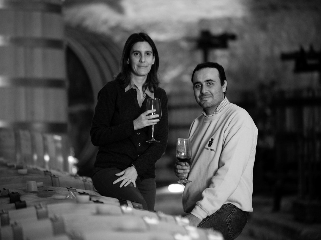 Conti Faina Winery-San Venanzo必去景点