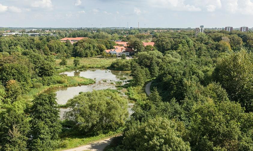 Sjaelborg旅游攻略图片