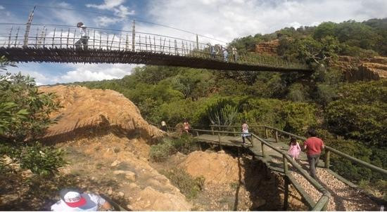 Bush Babies Monkey Sanctuary-哈特比斯普特必去景点