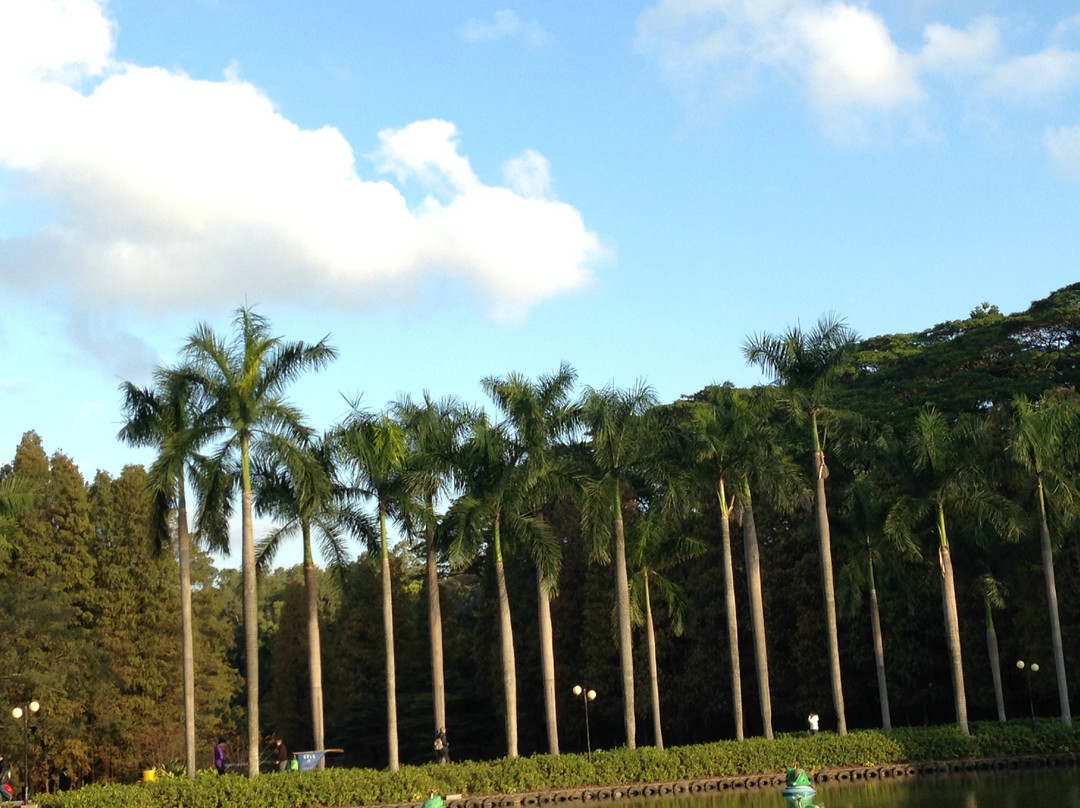 天河公园-广州市必去景点