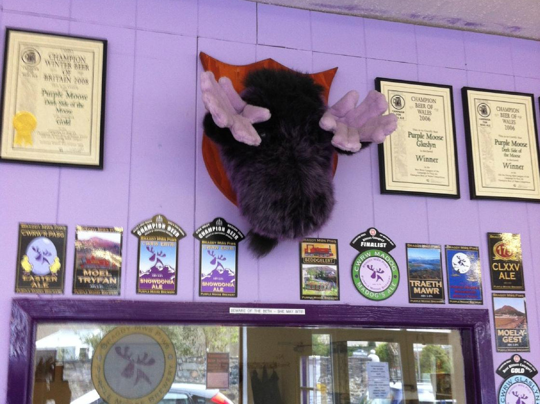 Purple Moose Brewery景点图片