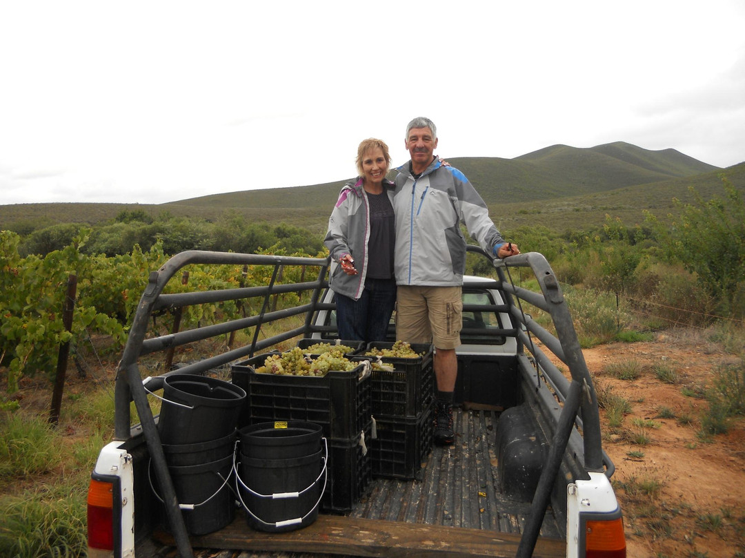 Farmer Redbeard-Ashton必去景点