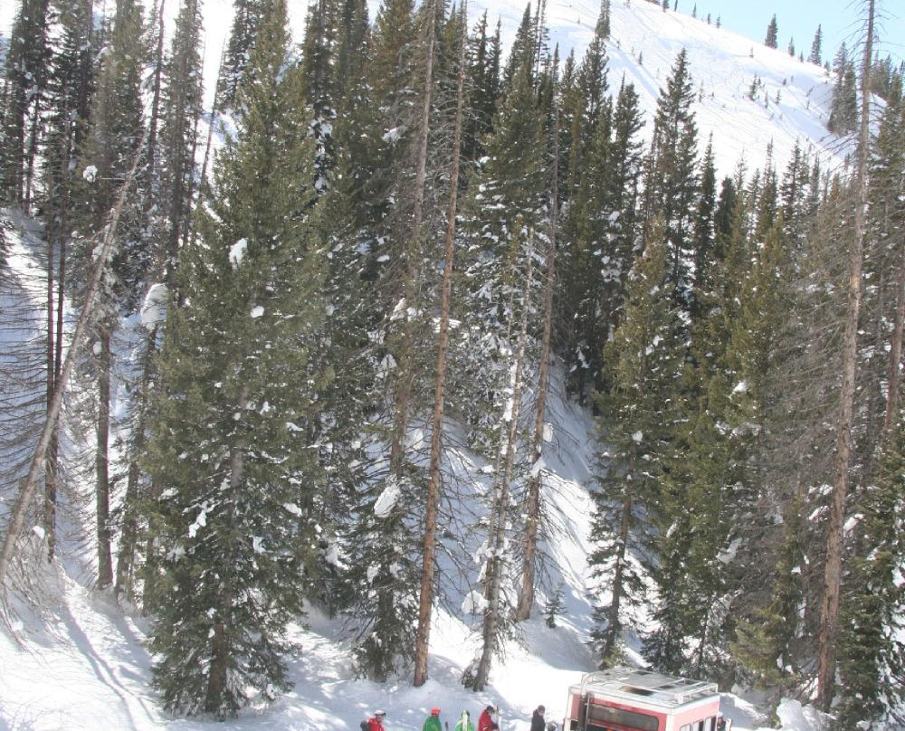 Steamboat Powdercats-斯廷博特斯普林斯必去景点
