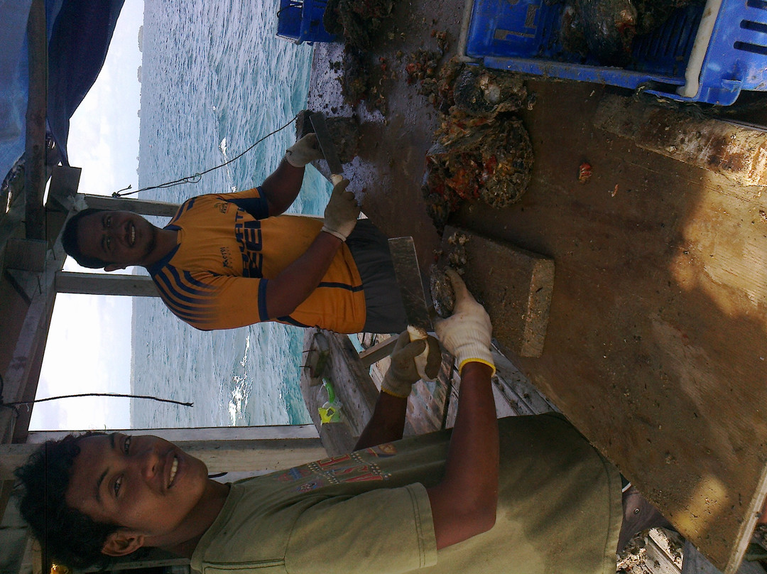 Manihiki Pearl Techs-拉罗汤加必去景点