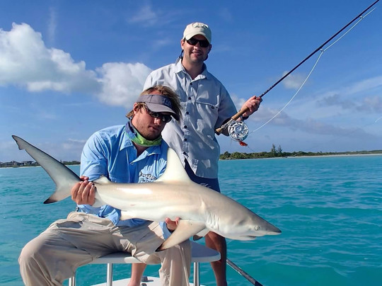 Bonefish Unlimited-普罗维登西亚莱斯必去景点